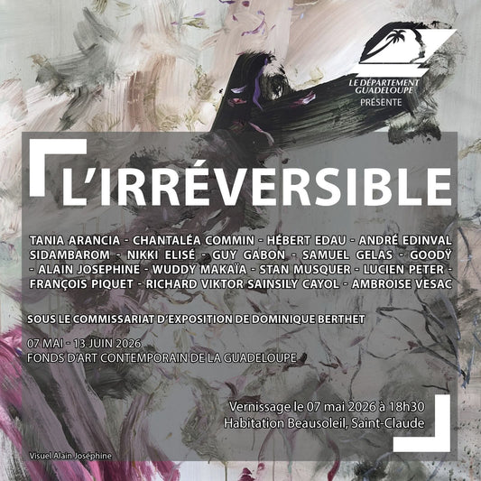 L'IRRÉVERSIBLE