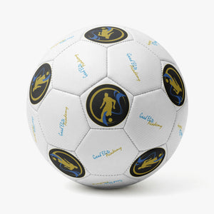 1455. Soccer Ball - 32 Panel Printed - MOQ 2